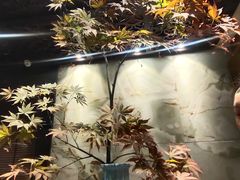 -南堂館川菜文化餐厅(天府店)