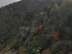 -北京鹫峰国家森林公园