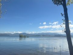 -洱海月湿地公园