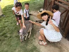-灵玲国际马戏城