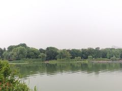 -高子水居