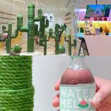撸猫胜地🌵利路修同款未卡猫空间