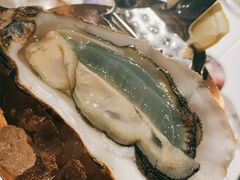 -Oyster Talks 四度蚝法餐厅