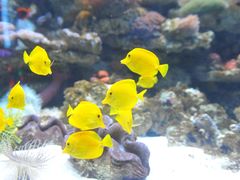 -多彩贵州城极地海洋世界