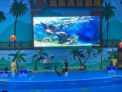 -石家庄极地海洋世界