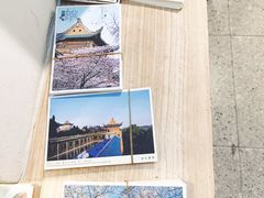 -武汉大学-樱园