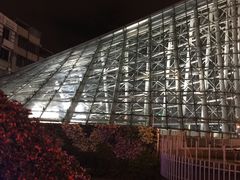 -捷运美丽岛站(The Dome of Light)