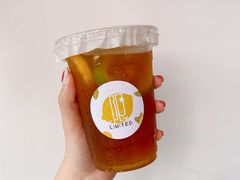 -LIMITED EXPRESS 限定快线
