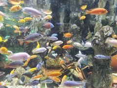 -太平洋海底世界