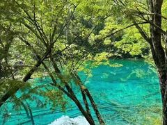 -乡土特色.冷锅鱼.牦牛肉汤锅