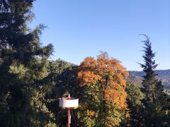 -香山公园
