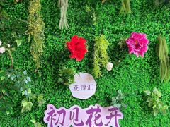 -花博汇(知音花月夜)