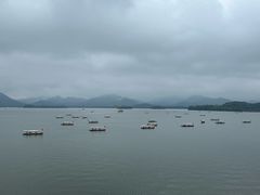 -湖畔居茶楼(湖滨店)