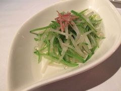 -西郊5号·Maggie 5