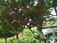 -南宁南湖公园