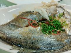 -日日香卤鹅饭店·澄海狮头鹅(澄海店)