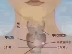 -见康道莱•足浴按摩•艾灸•SPA(友谊店)