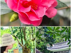 -深圳国际园林花卉博览园