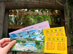 -西双版纳原始森林公园