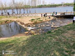 -长白岛森林公园