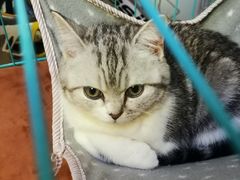 -晓午阳常熟炒浇面(红庙店)