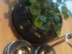-小饕荟养生火锅(仁和·熙春郡店)