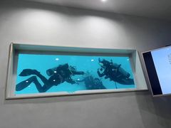 -上海潜殿潜水中心