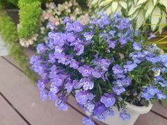 -满月蛋糕定制·商务茶歇·diy课程(万达广场店)