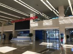 -首都医科大学附属北京天坛医院