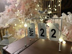 -迈瑞米求婚策划(静安店)