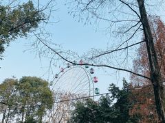 -塔子山公园