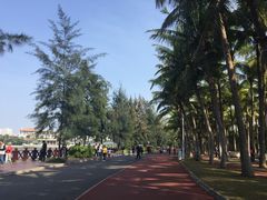 -万绿园