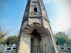 -上海佘山国家森林公园天马山园