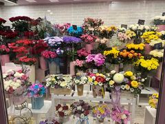 -布拉戈维申斯克