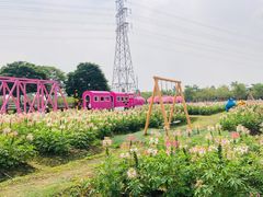 -盈香心动乐园