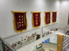 -爱侣宠医·鹦鹉专科·小型哺乳类·异宠专科(灵石路店)