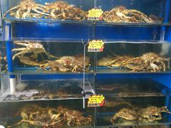 -蚝专家(北滘店)