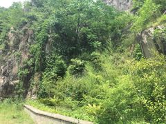 -汉中石门栈道景区