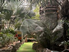 -呀路古热带植物园