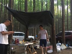 -山王坪喀斯特国家生态公园