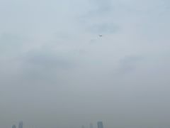 -大金鹰园
