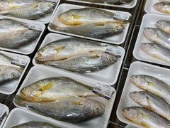 -麦德龙(青羊店)