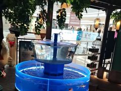 -佬麻雀·剁椒鱼头(京基KK One店)