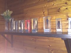 -南京金牛湖风景区