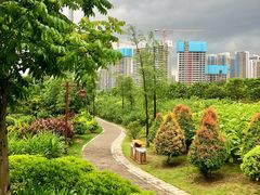 -大亚湾红树林城市湿地公园