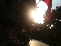 -十九路军淞沪抗日阵亡将士陵园