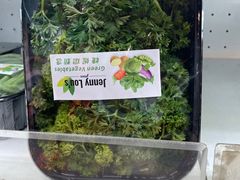 -婕妮璐超市 Jenny Lou’s Shop(三里屯店)