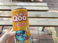 -广州长隆飞鸟乐园