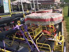 -春花秋色城市公园