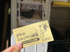 -神户市立六甲山牧场